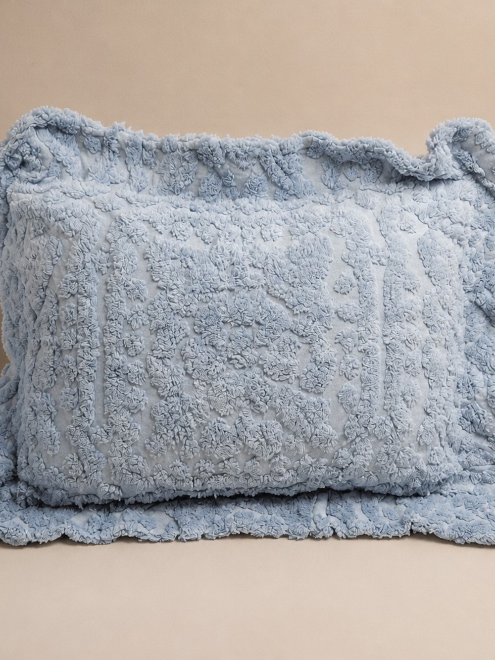 Cozy Chenille Decorative Pillow Sham in Light Blue